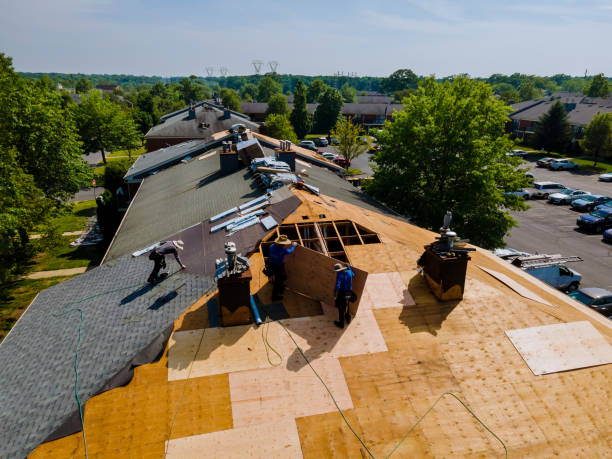 Best Flat Roof Repair Services  in Julesburg, CO